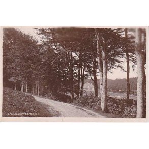 Vejlskoven -Odder - V.M. u/n