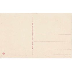 Odder set fra Vejlskoven -B&P 38583