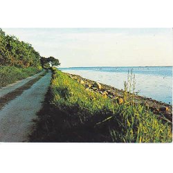 Parti fra Lerdrup - u/n