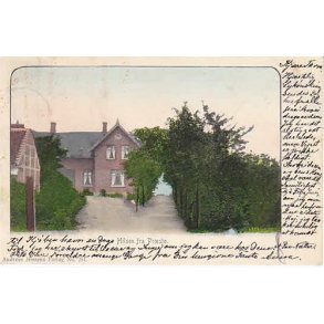 Hilsen fra Præstø - A.J. 281