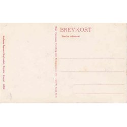 Jernbanestationen i Pr&aelig;st&oslash; -A.J. 18362