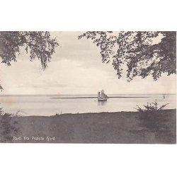 Parti fra Pr&aelig;st&oslash; Fjord - A.J. 34491