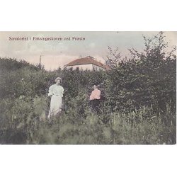 Sanatoriet i Faxingeskoven ved Pr&aelig;st&oslash;- L.C. 817