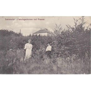 Sanatoriet i Faxingeskoven ved Præstø- L.C. 817