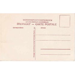 Sanatoriet i Faxingeskoven ved Pr&aelig;st&oslash;- L.C. 817