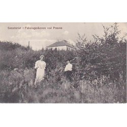 Sanatoriet i Faxingeskoven ved Pr&aelig;st&oslash;- L.C. 817