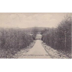 Parti fra Faxingeskoven - A.J. 14478