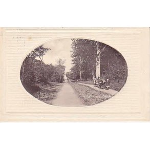 Parti fra Nysø Præstø - A.J.28942