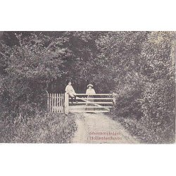 Sm&oslash;rmoseleddet i Holl&aelig;nderskoven -A.J. u/n