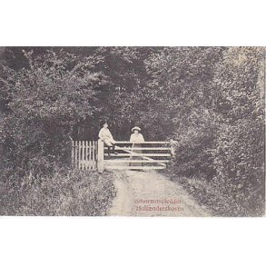 Smørmoseleddet i Hollænderskoven -A.J. u/n