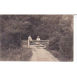 Sm&oslash;rmoseleddet i Holl&aelig;nderskoven -A.J. u/n