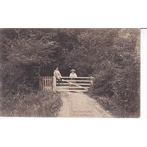 Smørmoseleddet i Hollænderskoven -A.J. u/n