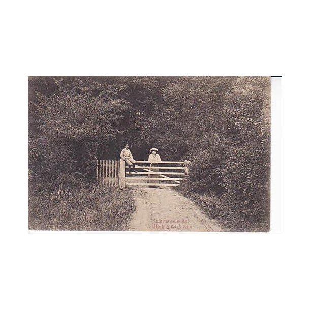 Sm&oslash;rmoseleddet i Holl&aelig;nderskoven -A.J. u/n