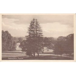 B&aelig;kkeskov - Pr&aelig;st&oslash; -A.J. 105