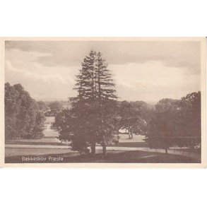 Bækkeskov - Præstø -A.J. 105