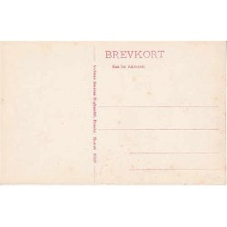 Parti fra Lekkende S&oslash;. A,J,25560