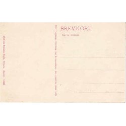 Parti fra Even - Pr&aelig;st&oslash; -A.J. 14406