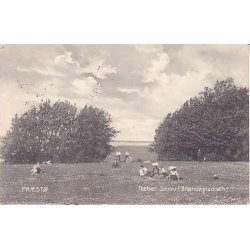 Pr&aelig;st&oslash; - N&aelig;bet Skov (Br&aelig;ndepladsen) A.J. 6214