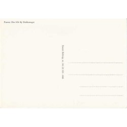 Pr&aelig;st&oslash; - den lille by Dukkemager. B. 211021