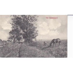 Ved Holmegaard - WKF 2103