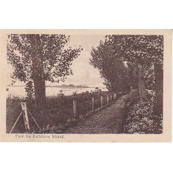 Parti fra Kallehave Strand - F.S. 170