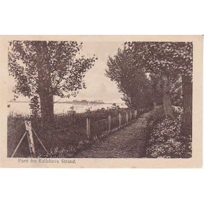 Parti fra Kallehave Strand - F.S. 170