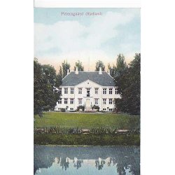 Petersgaard - C. 131