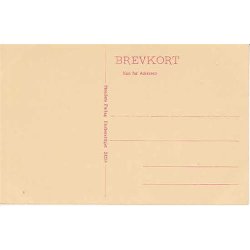 Parti fra R&oslash;dvig - St. 24238