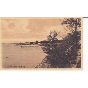 Parti fra Rødvig - St. 24238