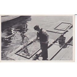 R&oslash;dvig Havn - T. 80320