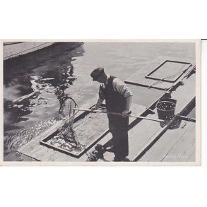 Rødvig Havn - T. 80320