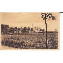 Parti fra R&oslash;dvig - St. 24229