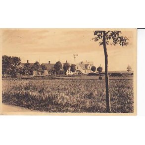 Parti fra Rødvig - St. 24229