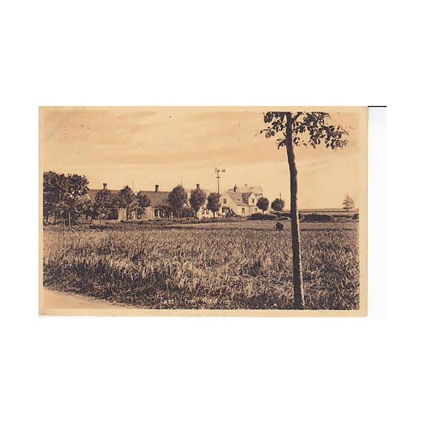 Parti fra R&oslash;dvig - St. 24229