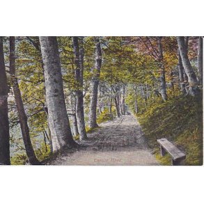 Enrum Have - A.V. 144