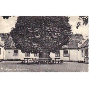 Trørød - Krogholmgaard - Tatol 15116