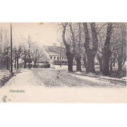 H&oslash;rsholm - P.A. 754