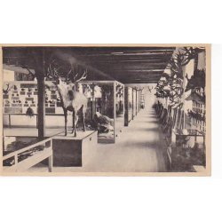 Jagt og Skovbrugsmuseet, H&oslash;rsholm - 14617