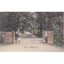 Alle i H&oslash;rsholm -St. 4719