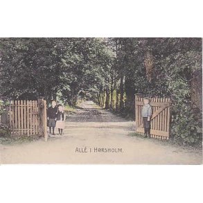 Alle i H&oslash;rsholm -St. 4719