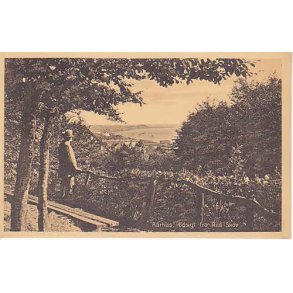 Aarhus- Udsigt fra Ris Skov - St. 27803