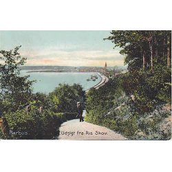 Aarhus- Udsigt fra Ris Skov - St. 6111