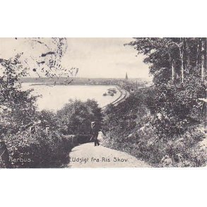 Aarhus- Udsigt fra Ris Skov - u/n