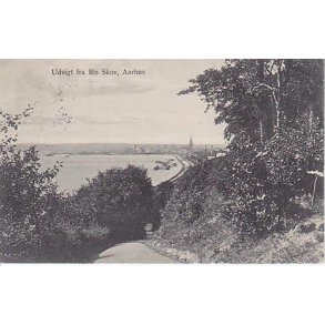 Aarhus- Udsigt fra Ris Skov - u/n