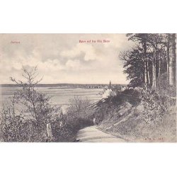 Aarhus- Udsigt fra Ris Skov - St. 643