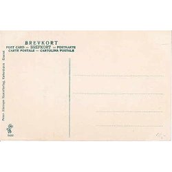 Aarhus set fra Ris Skov - P.A.8450