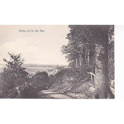 Aarhus set fra Ris Skov - P.A.8450