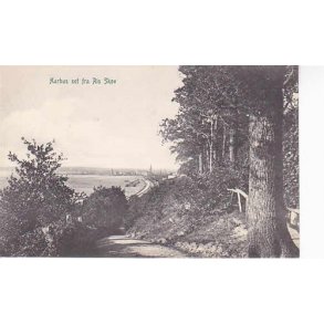 Aarhus set fra Ris Skov - P.A.8450