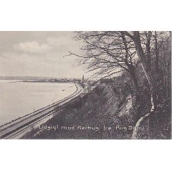 Udsigt mod Aarhus fra Riis Skov -H.B u/n