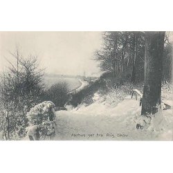 Aarhus set fra Ris Skov - O.J. 12438